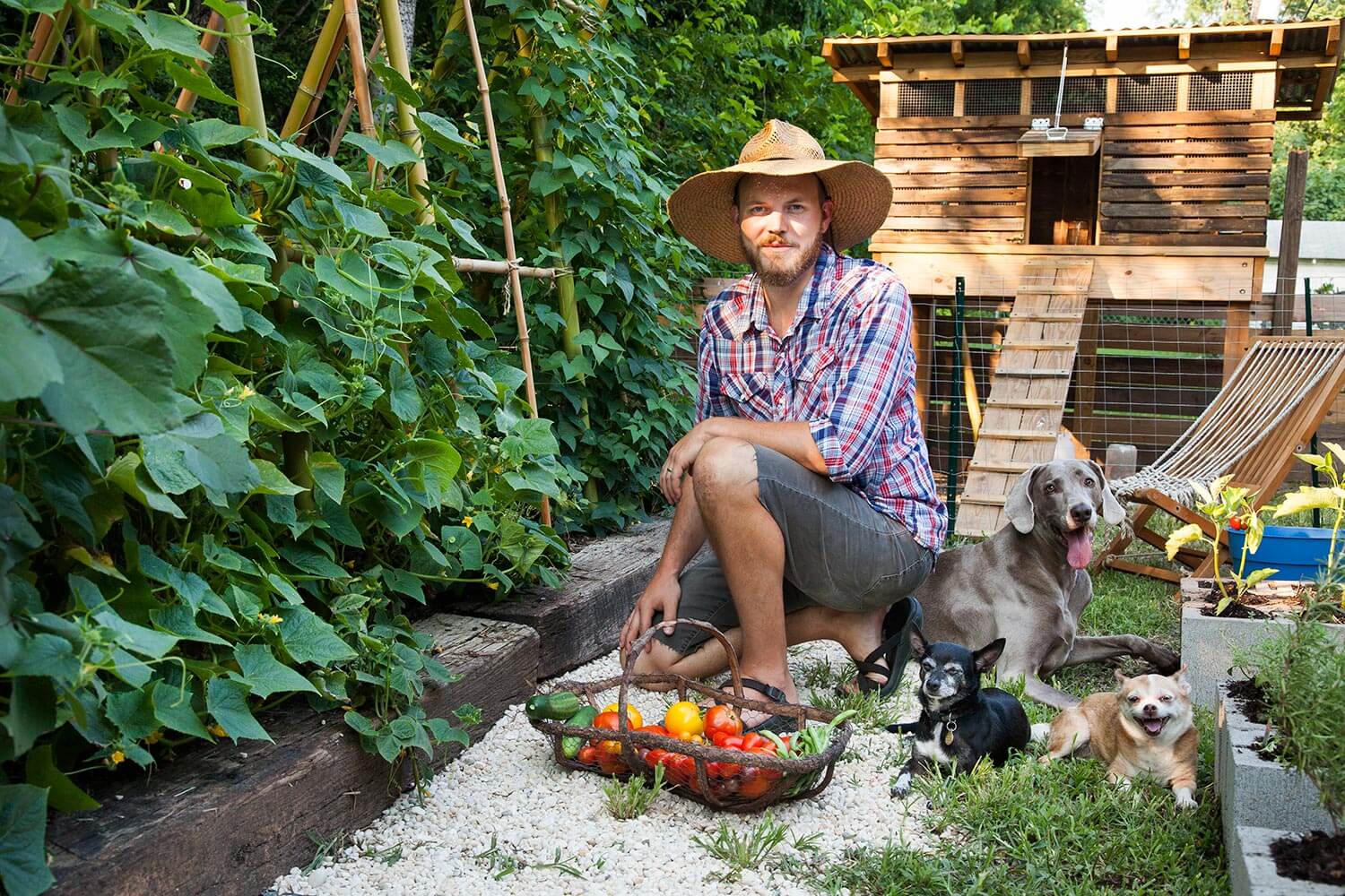 Tips for Organic Gardening