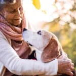Tips for Taking Care of Senior Pets